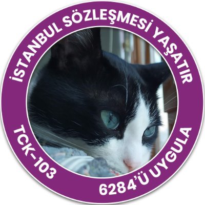 desspinaV1's profile picture. 