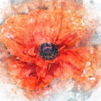 The Oncologist Community (@toncologist) 's Twitter Profile