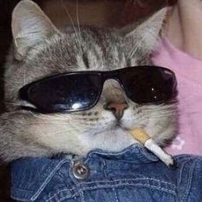 gysinoekoleso's profile picture. 