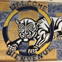 Yorkhill Elementary School (@yorkhilles) 's Twitter Profile