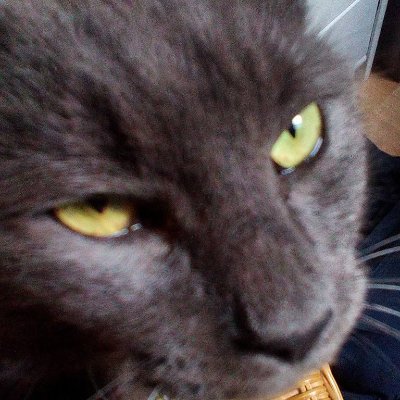 pwnedjsp's profile picture. 