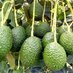 Mugwaneza Farm Fresh Ltd (@mugwanezafarm) Twitter profile photo Mugwaneza Farm Fresh Ltd (@mugwanezafarm) Twitter profile photo