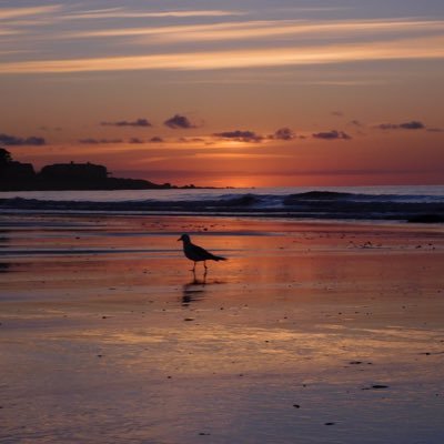 krfitzy123's profile picture. NHS ‘18|| Bryant ‘22