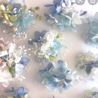 あさ (@aiskaiskppkp) 's Twitter Profile