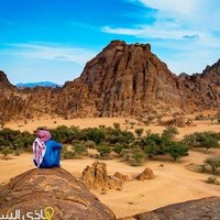 🌴منصة شمر الاعلاميه🌴 (@news_shammar) 's Twitter Profile