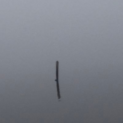 rjgittings's profile picture. @clereviewbooks