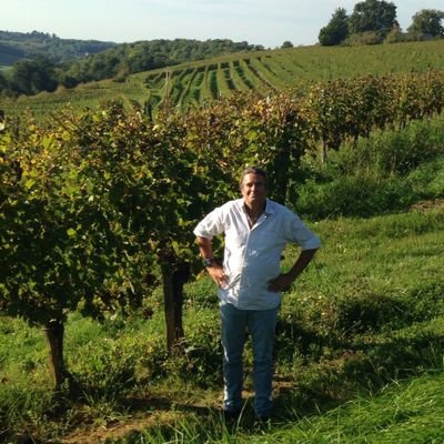 Dans les vignobles de France