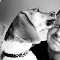 Anxious G (@beagleandme) 's Twitter Profile Photo Anxious G (@beagleandme) 's Twitter Profile Photo