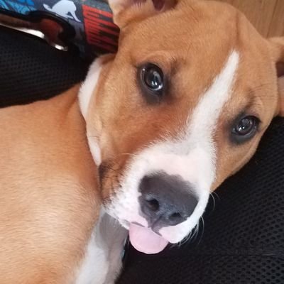 100DaysOfNoise's profile picture. Here for the Noise