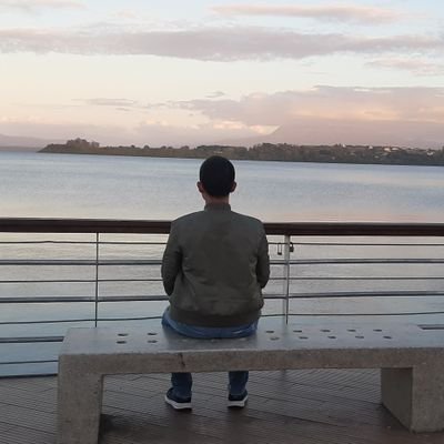 HenaoVlz's profile picture. Ejerciendo el arte de vivir, con sus errores, aprendizajes, encantos y desencantos.