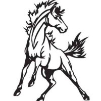 mesaroblesschool (@mesamustangs) 's Twitter Profile