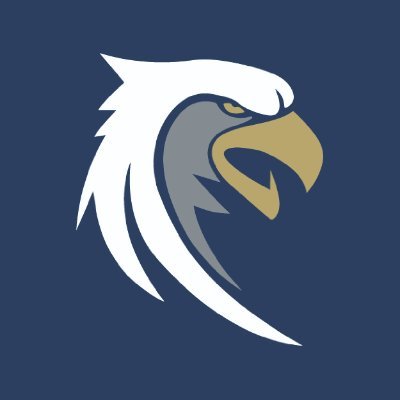 Official Twitter of Toccoa Falls College Athletics | Member of the NCCAA | Go Screaming Eagles! #soartogether