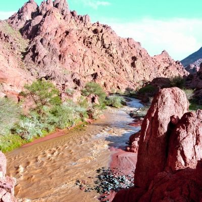 أقول قولٍ قبلي الناس قالوه..
من لايسرك حي لاعاد ترجيه