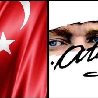 temeltuncer3461's profile picture. 