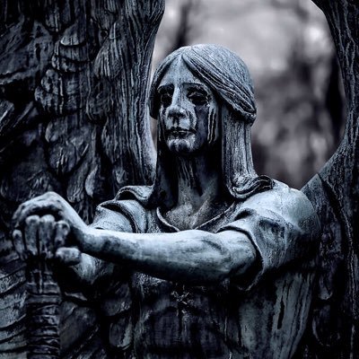 LCLxBEAST's profile picture. 