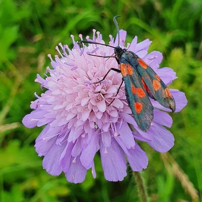 Thomasi73571323's profile picture. 