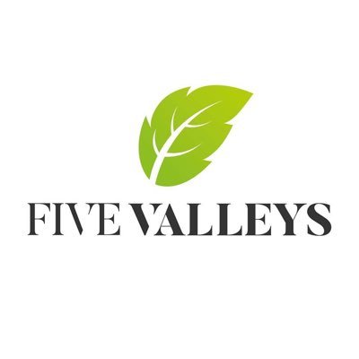 Fivevalleys_ Profile Picture