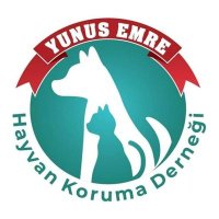 Yunusemre Hayvan Koruma Derneği(@EmreKoruma) 's Twitter Profileg