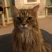 FundraisingCats (@fundraisingcats) Twitter profile photo FundraisingCats (@fundraisingcats) Twitter profile photo