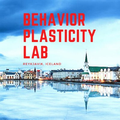 Karl F. Gunnarsson (BCBA-D) and the BxPx Lab investigate basic and applied applications of the science of behaviour analysis to rehabilitation