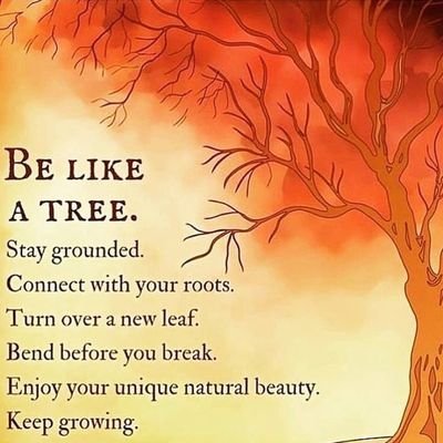 Annelodz's profile picture. Social