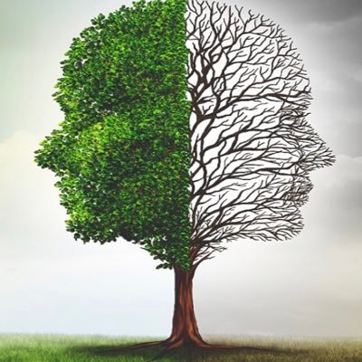 akm1231's profile picture. Comedy enthusiast  Opinions are my own.