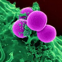 Gavins Lab (@gavins_lab) 's Twitter Profile Photo Gavins Lab (@gavins_lab) 's Twitter Profile Photo