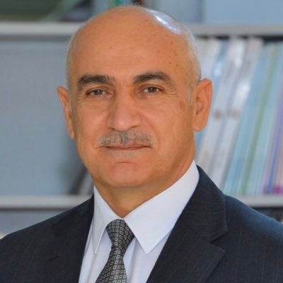 Professor in Petroleum Geology, Erbil, Iraq