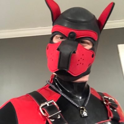 slave | pup | locked | GsA trainee | property of @GlHlock