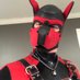 -bolt- (@pupfetch1) Twitter profile photo