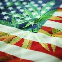 🏳️🌈☕️Coffee with a side of Mary Jane☕️🏳️🌈 (@cunder_thunt21) 's Twitter Profile