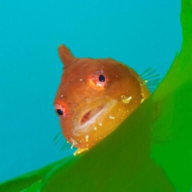 taro_chan2's profile picture. アルコールから解放されて穏やかに生きたい