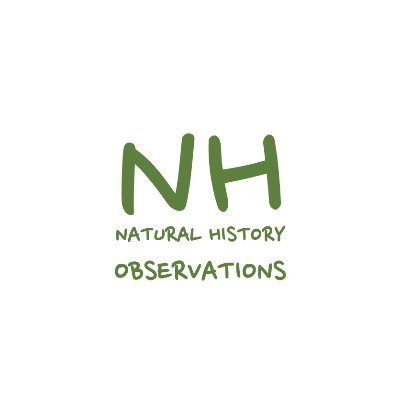 We provide recordings of natural history for educators, biologists, children, grandparents... and you

https://t.co/JDR0vVmCkj