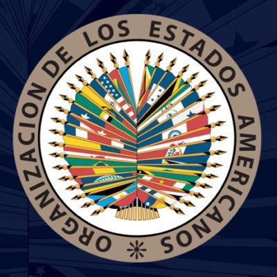 Departamento de Sustentabilidad Democrática y Misiones Especiales de la OEA