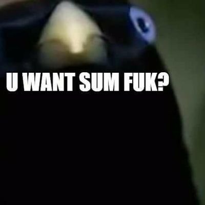 DuckDuc65478251's profile picture. if your hear just go and watch this video, i mean come on your already here