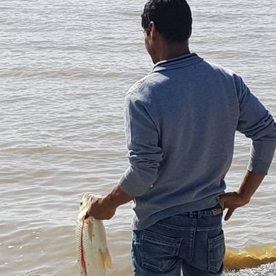 GabiZayat's profile picture. 