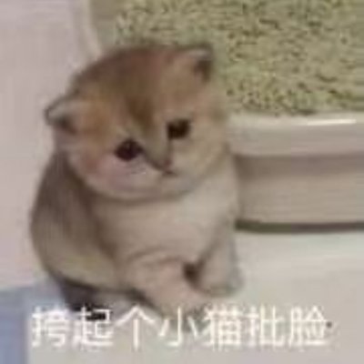 cannotwalk234's profile picture. 