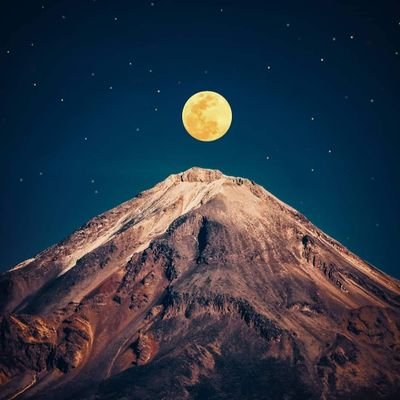 Martin84249303's profile picture. 