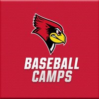 Steve Holm Baseball Camps (@baseballcampisu) 's Twitter Profile Photo