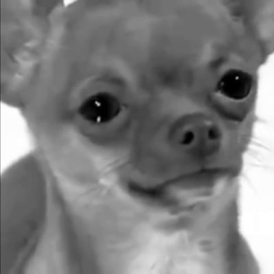 Neutr4lizado's profile picture. Perdi a antiga conta, tentando recuperar