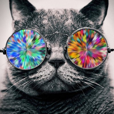 Sooooo10t's profile picture. フォロワー増やしたいです🤝 #相互フォロー