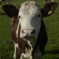 User profile - @Leave2Stay.