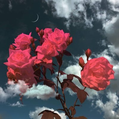 Indigenous_dno's profile picture. Dҽʝα 🙋🏽‍♀️💫⚡️✨🥰☺️ indigenous 🪶☥ | make things happen | ☺️💫