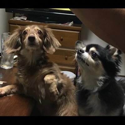 pikumin1261's profile picture. アラサーにしてダンスに目覚めた35歳。踊る062🕺 推し⏩stkgz,shoji-san 憧れ⏩kurumi-san(kikirara)