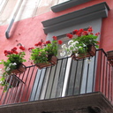 Mary Schmutz - @maryschmutz - Twitter