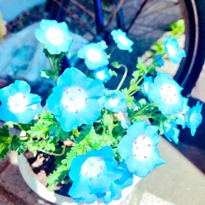 rirukoさんのプロフィール画像