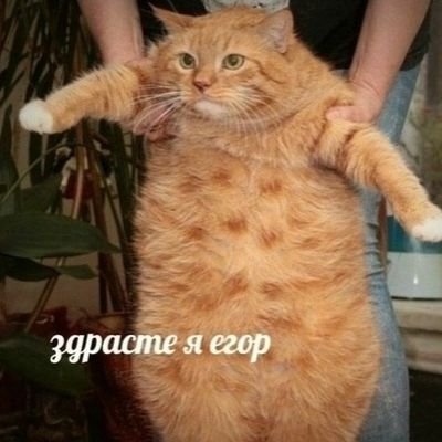 lawthief's profile picture. Пишу всякое