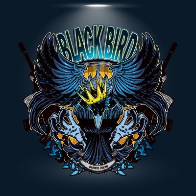 Professional eSports Team - compete in VALORANT 「BlackBird Ignis」
Contact : info@tet-bb.com