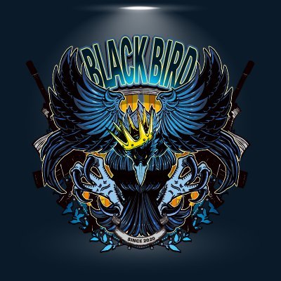 Professional eSports Team - compete in VALORANT 「BlackBird Ignis」 
Contact : info@tet-bb.com