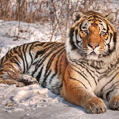 JJP4POE1JTnuwD1's profile picture. 有梯子才能访问 悲剧